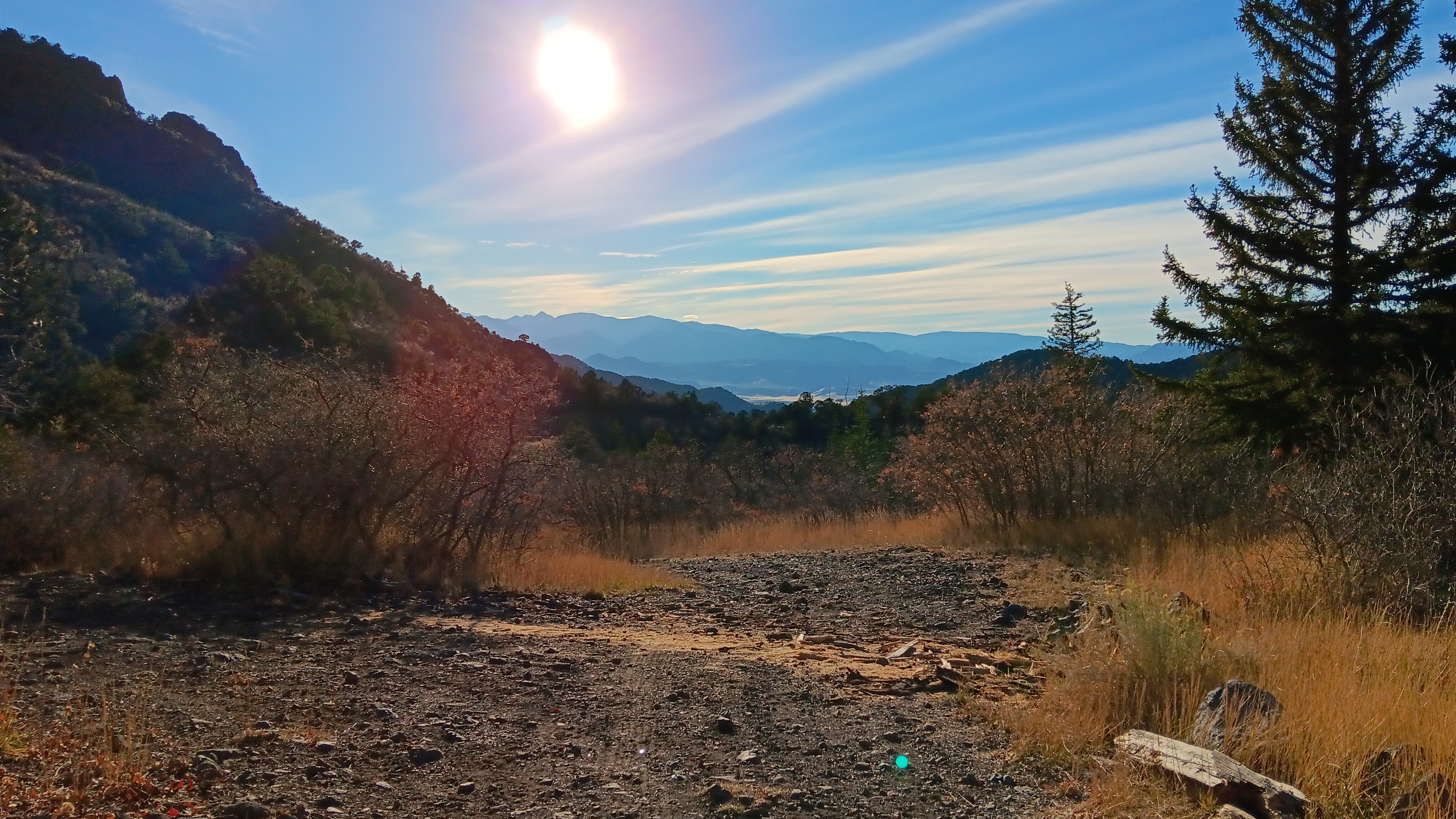 Avatar for Mountain Landscaping