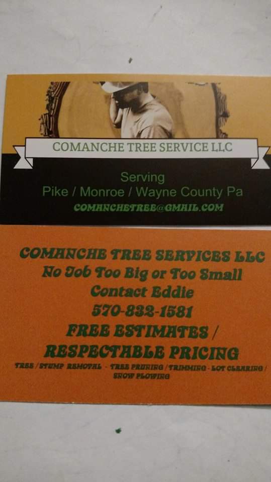 Comanche Tree Service LLC logo
