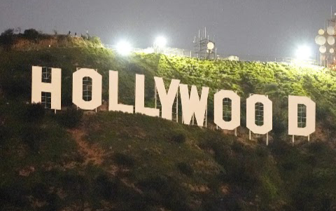 Avatar for Hollywood Cleaning Services LLC 