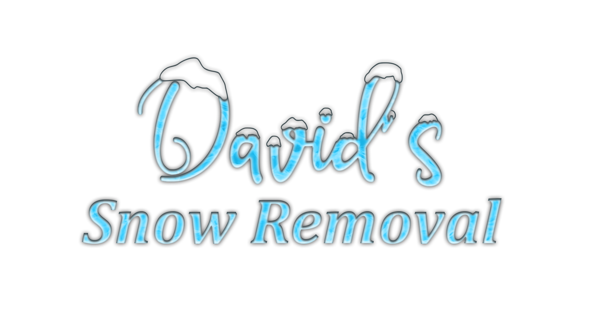 David's Snow Removal logo