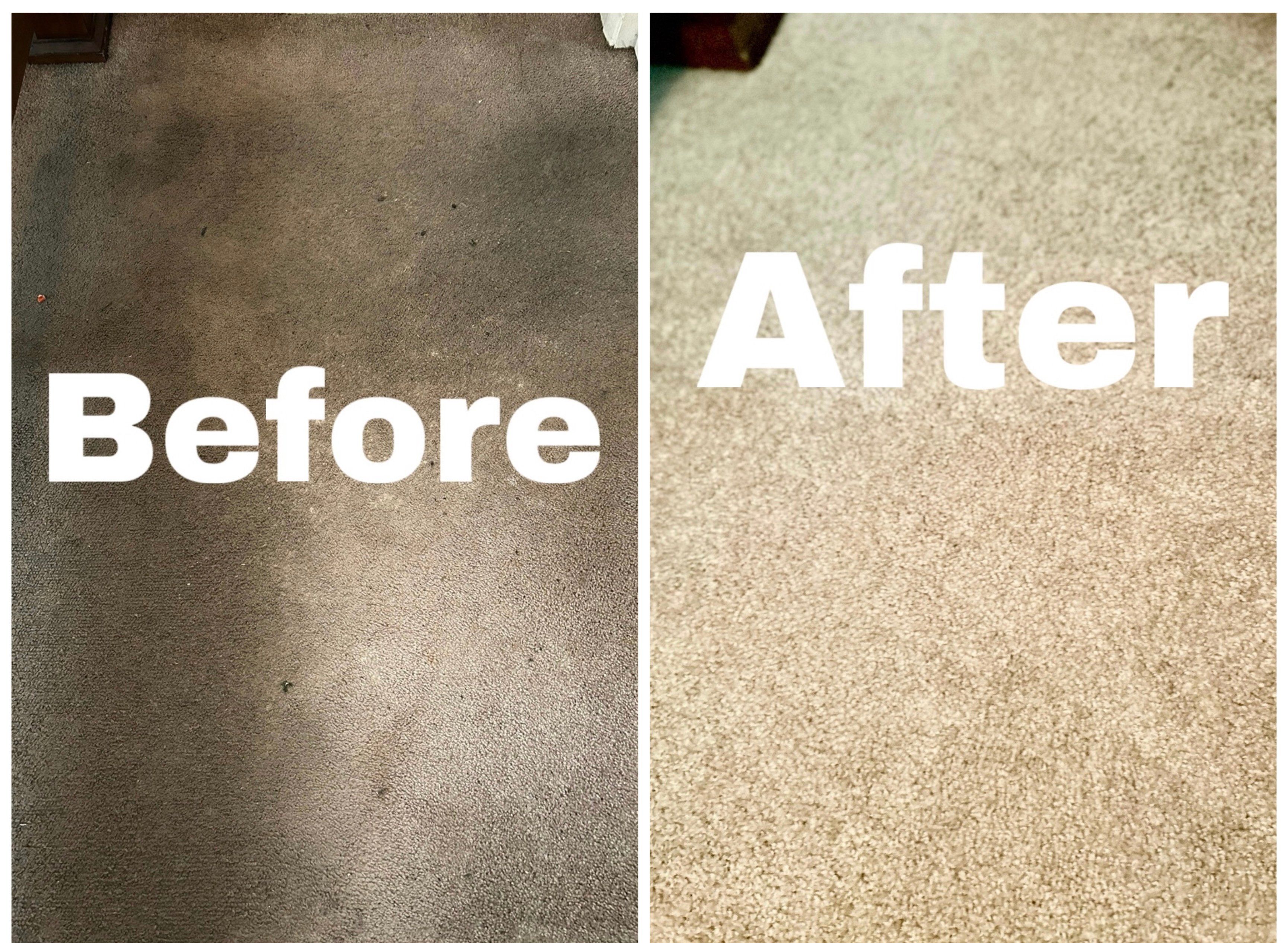 Avatar for ALL N ONE FLOOR CLEANING Co.