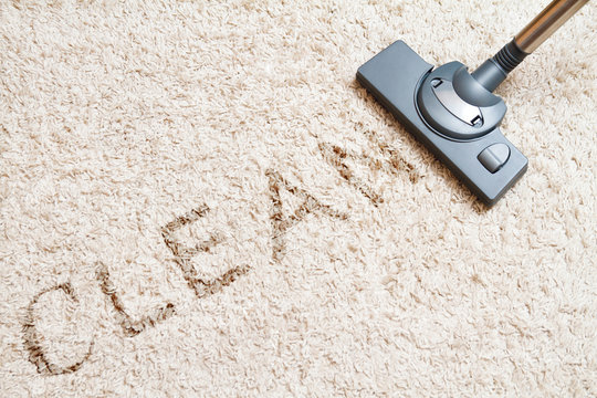 Avatar for Alfa Carpet Cleaning
