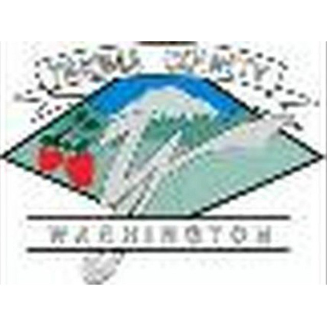 Consolidated Appraisal Services Inc logo