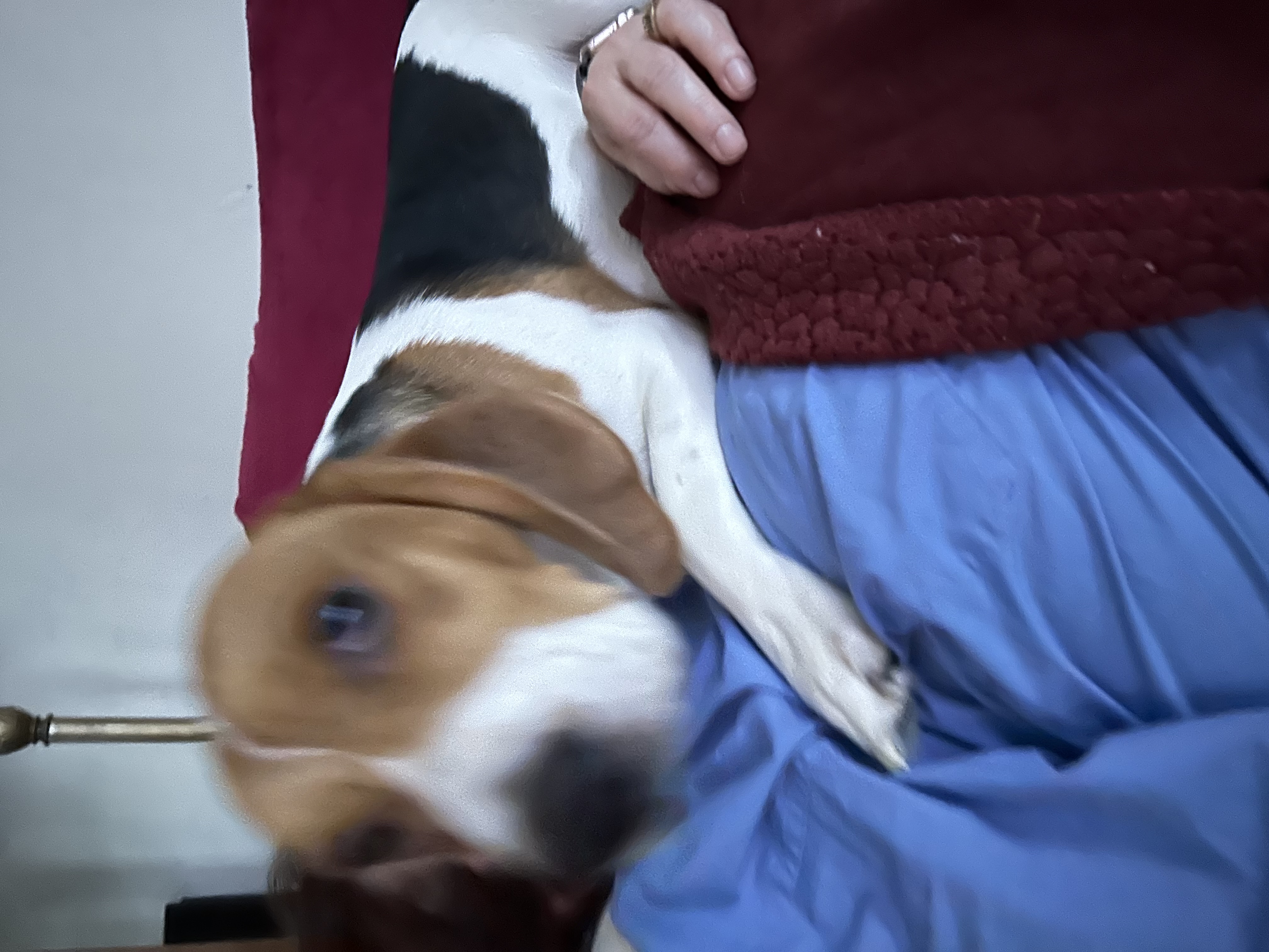 Avatar for Buford handyman service