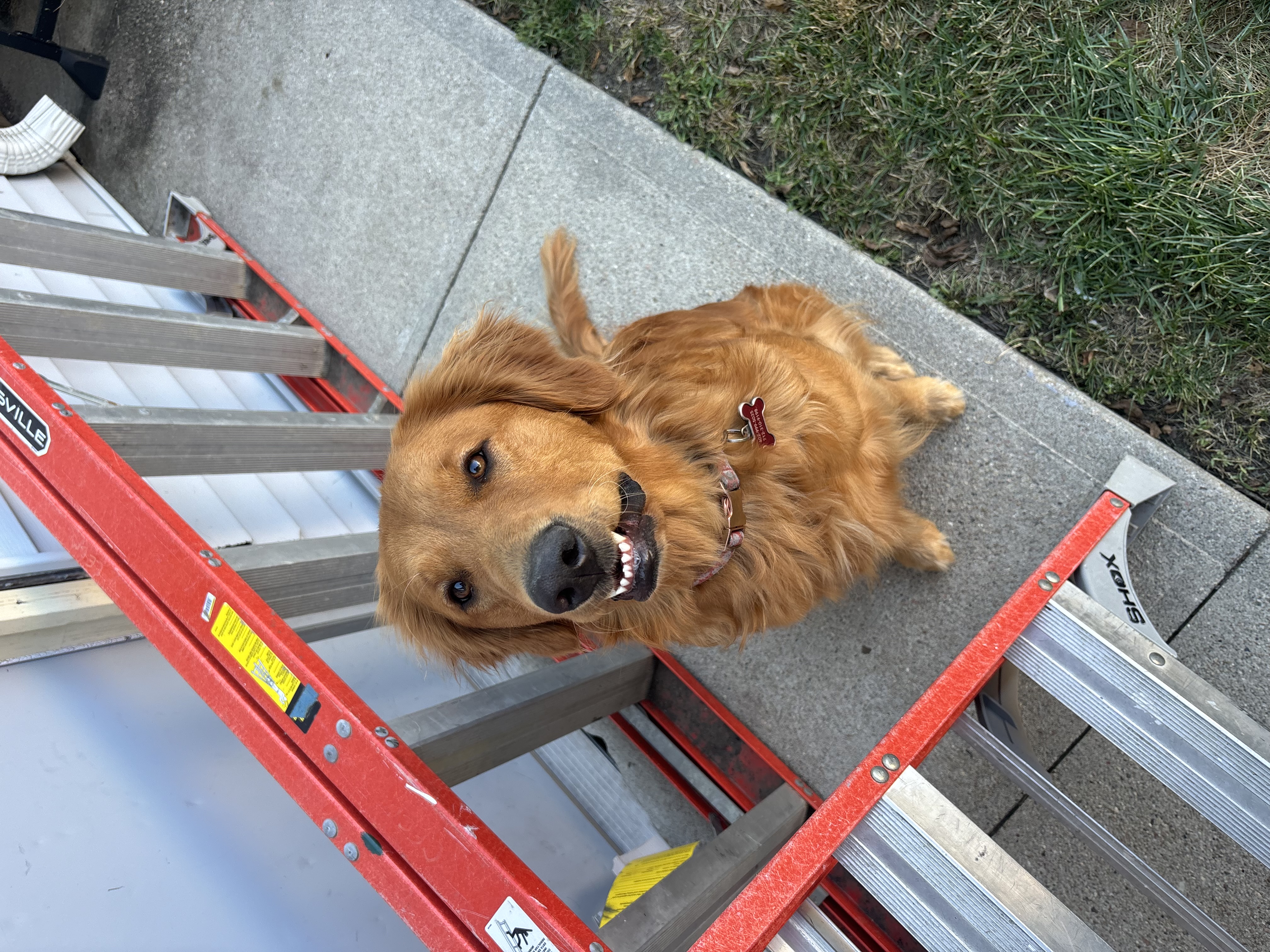 Avatar for Juniper Electric