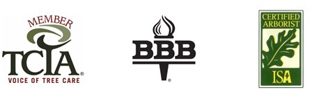 Avatar for Paul Bunyan Tree Svc Inc