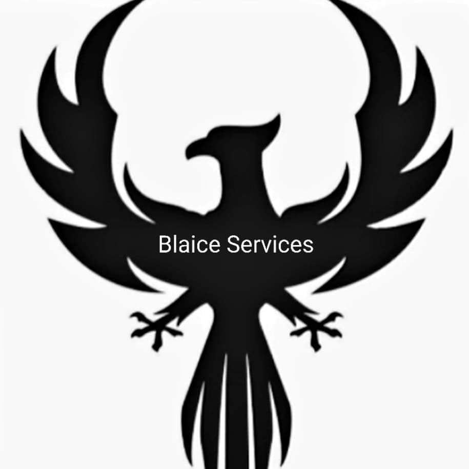Avatar for Blaice Services llc