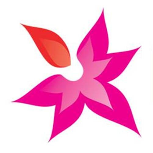 Logo for The Cleaning Lady