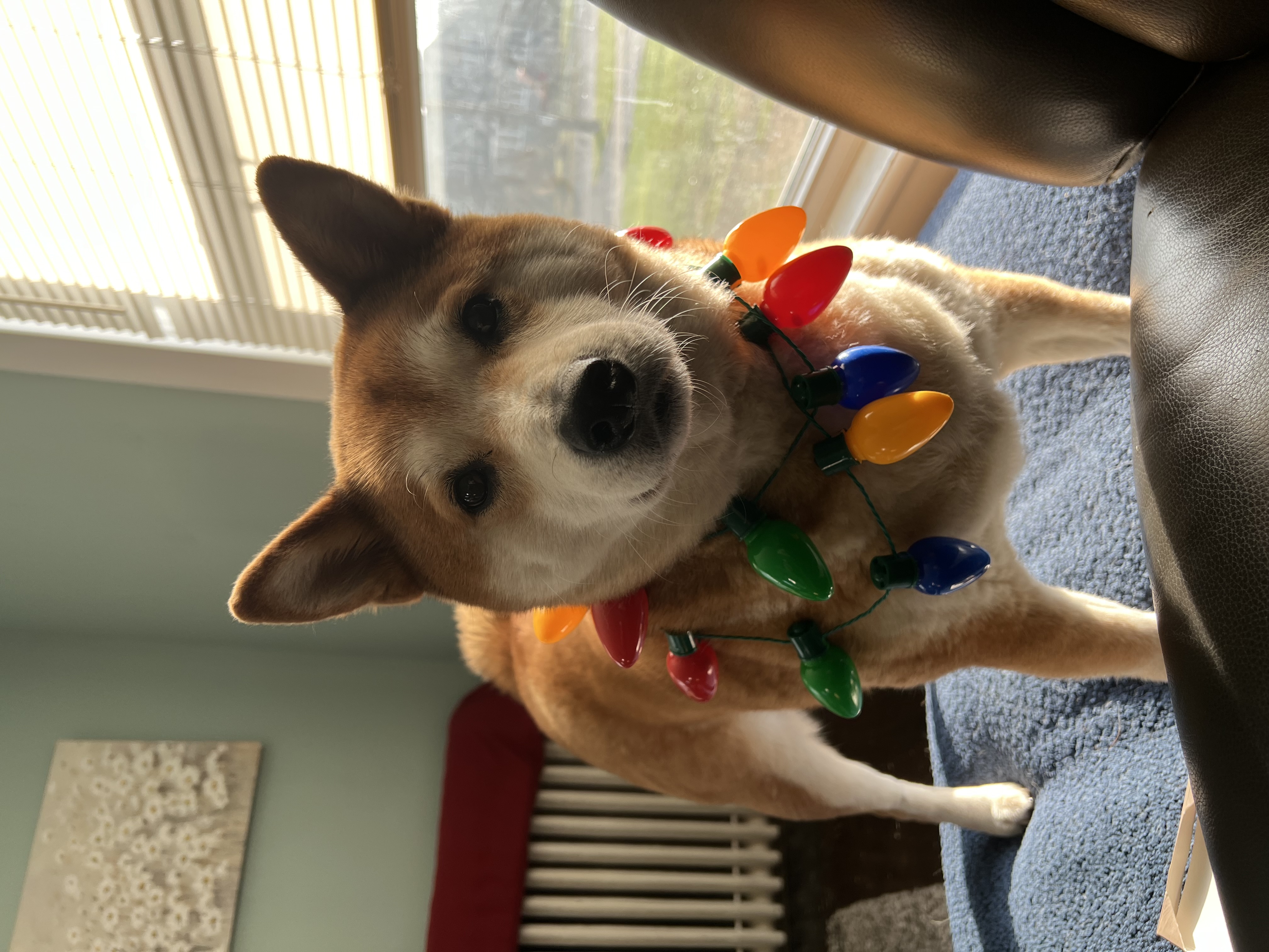 Avatar for Cleaning Stiles