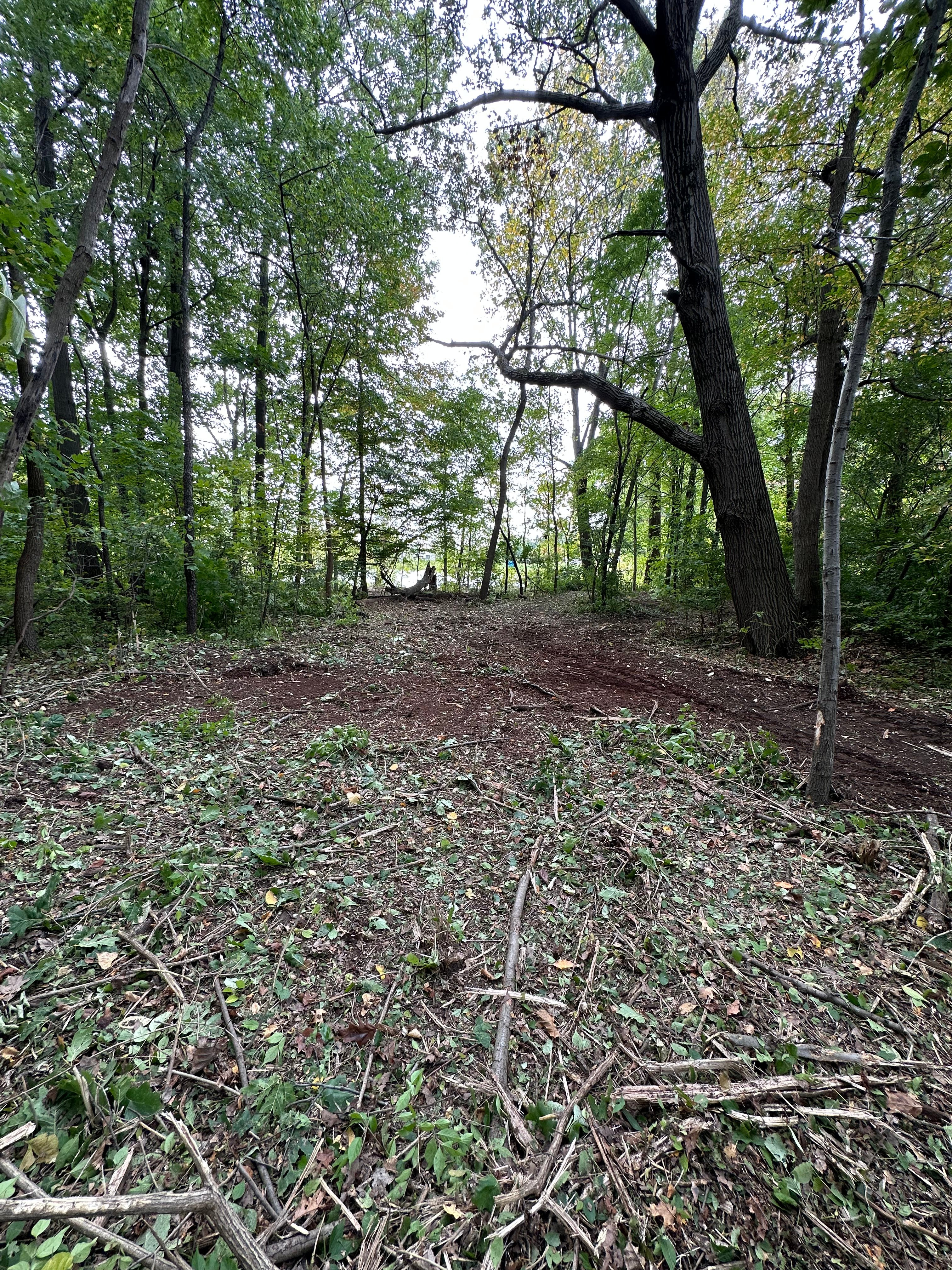 Avatar for To the Ground