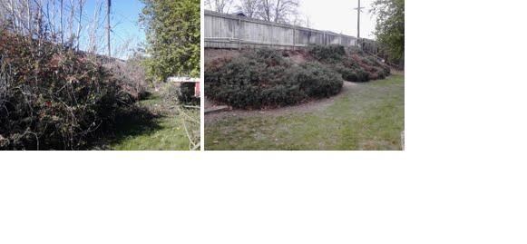 First part of the cleanup