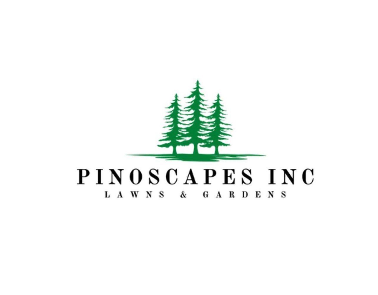 Avatar for PinoScapes, Inc.