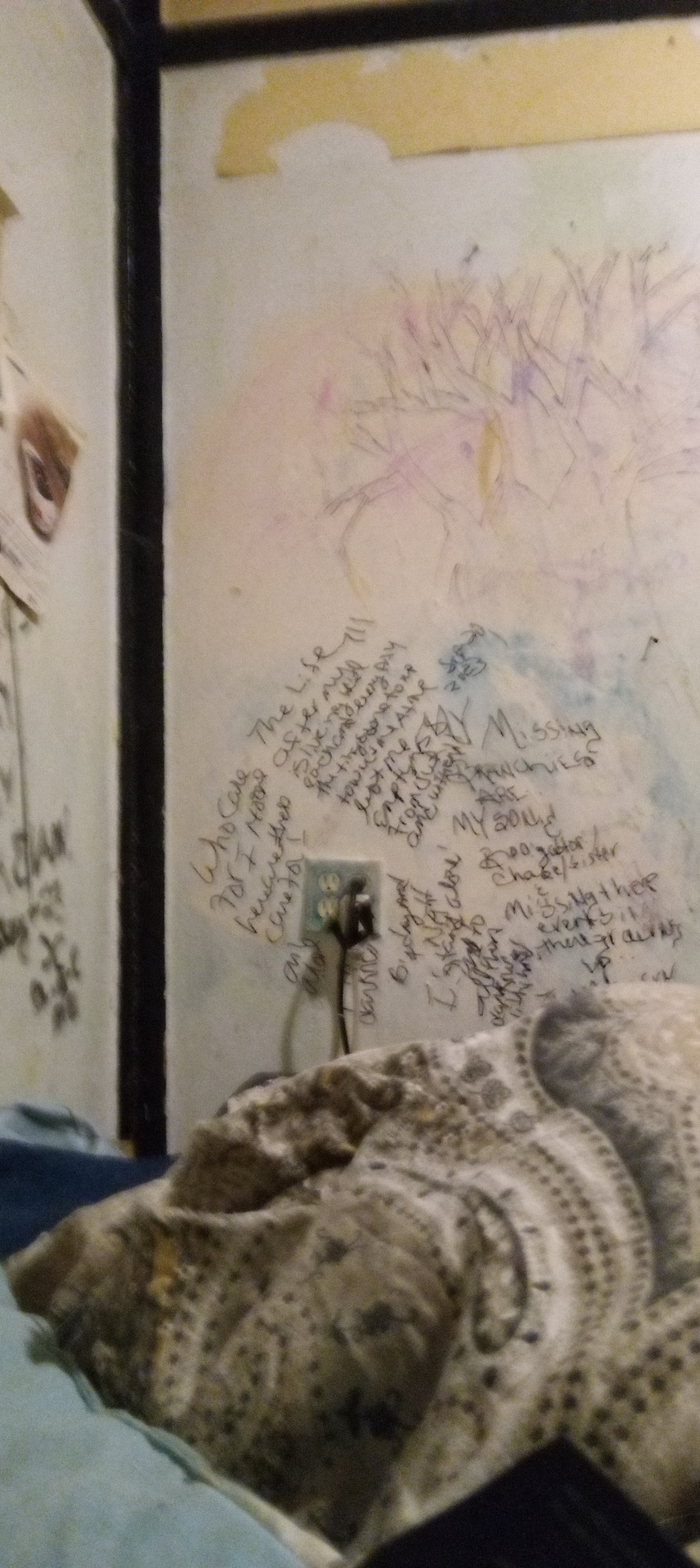 Avatar for A K.inder services