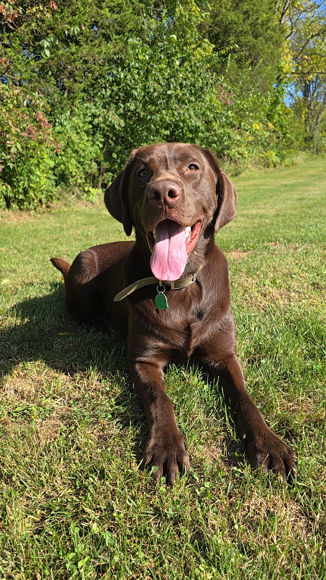 Avatar for Packs remodeling