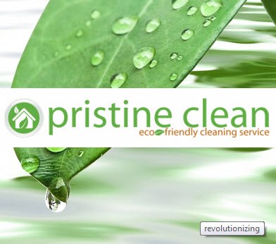 Logo for Pristine Clean Planet
