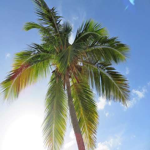 Avatar for Toni and Larry Richards, Realtors