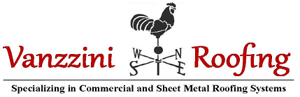 Avatar for vanzzini Roofing