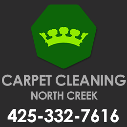 Avatar for Carpet Cleaning North Creek