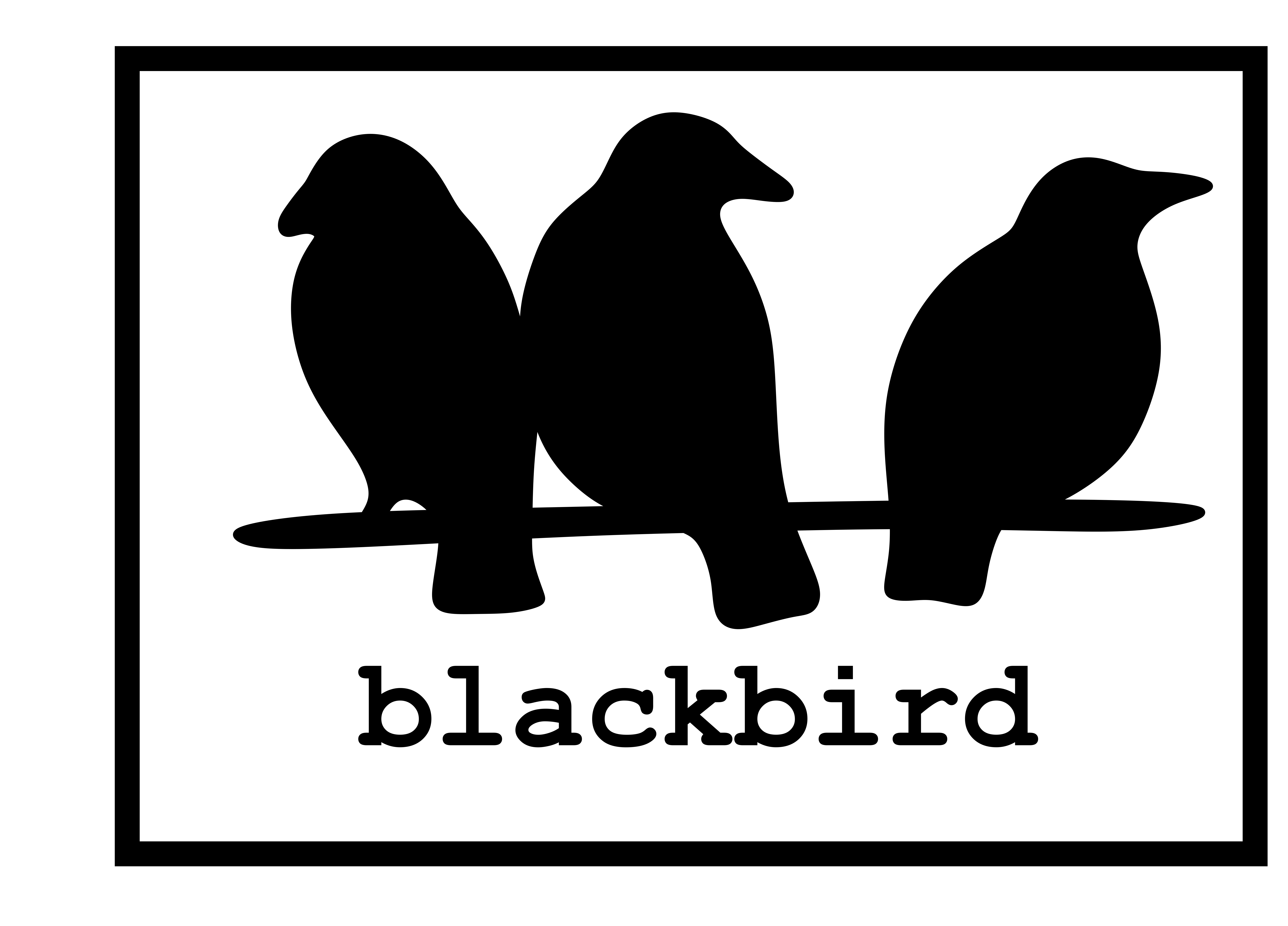 Avatar for Blackbird Property Services