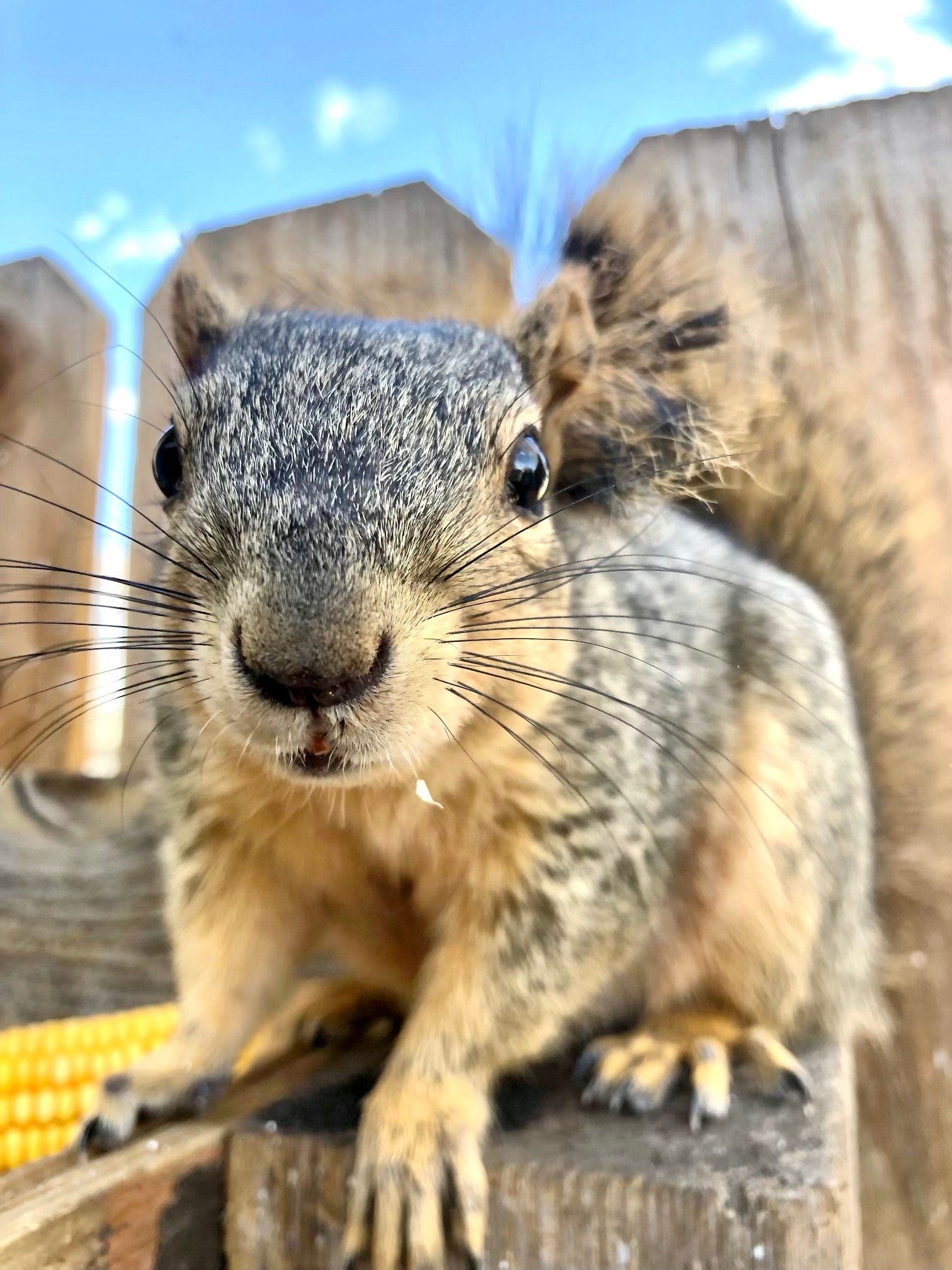 Avatar for Daly construction 