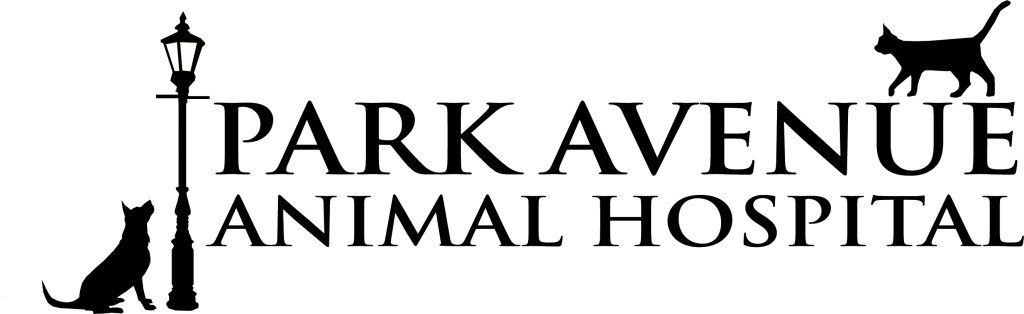 Logo for Park Avenue Animal Hospital