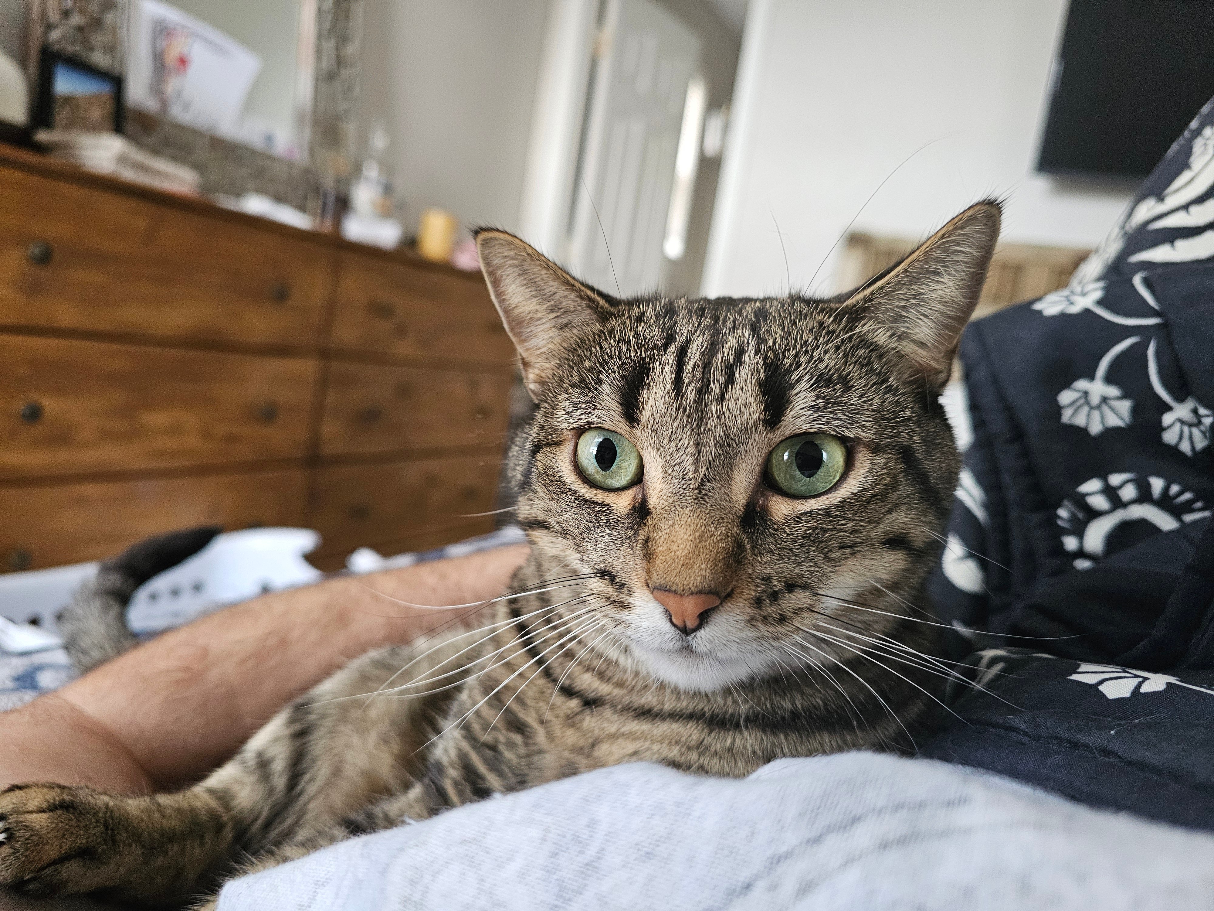 Avatar for DudesFixIt