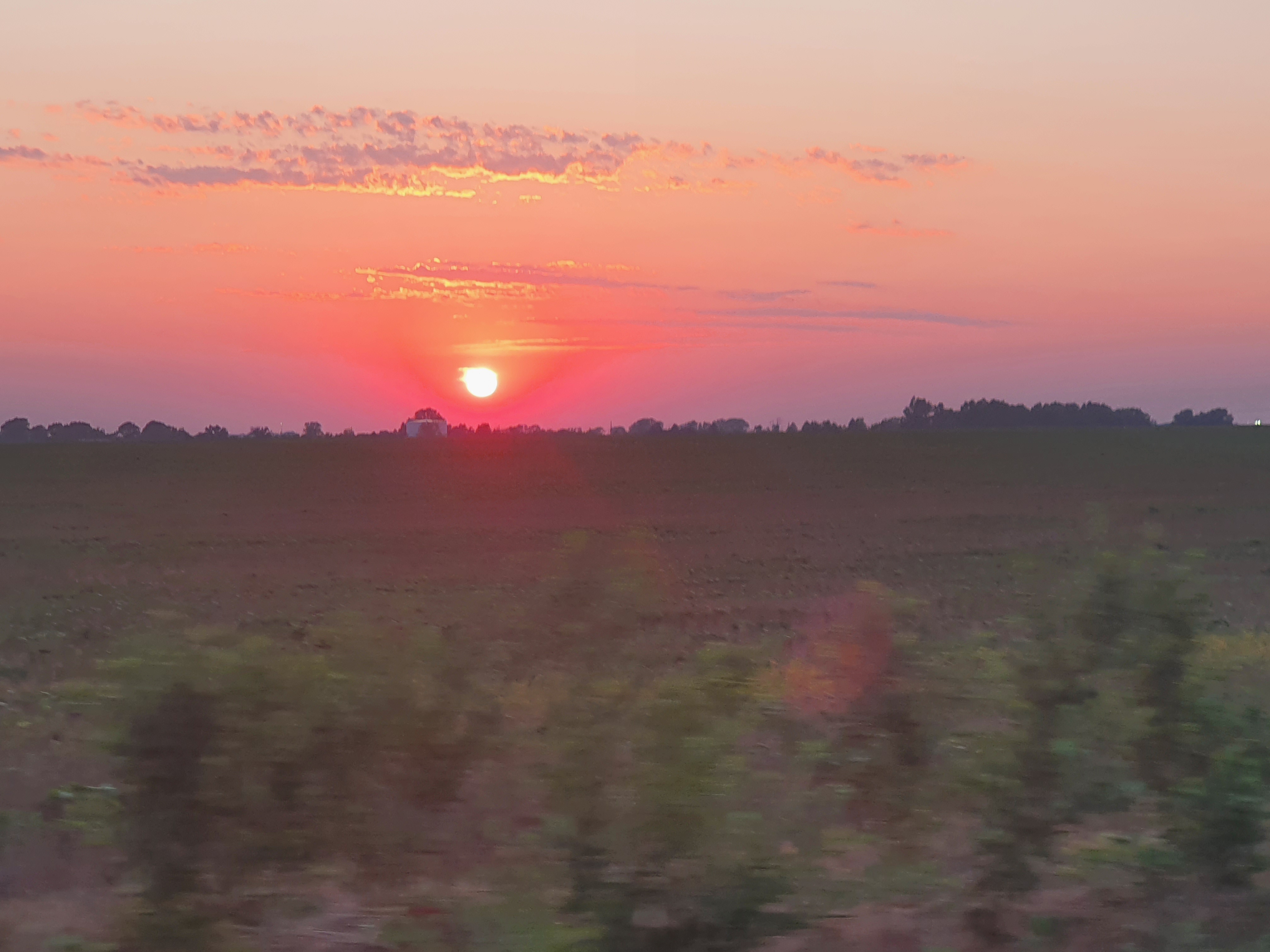 Avatar for JessOfAllTrades