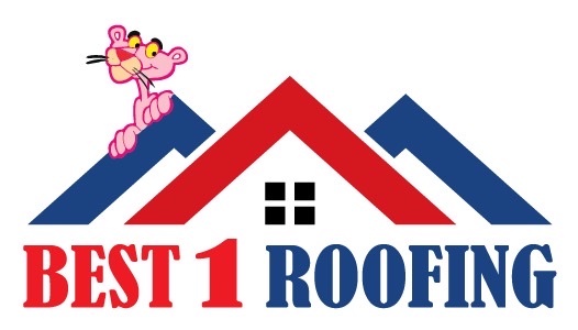 Avatar for Best 1 Roofing