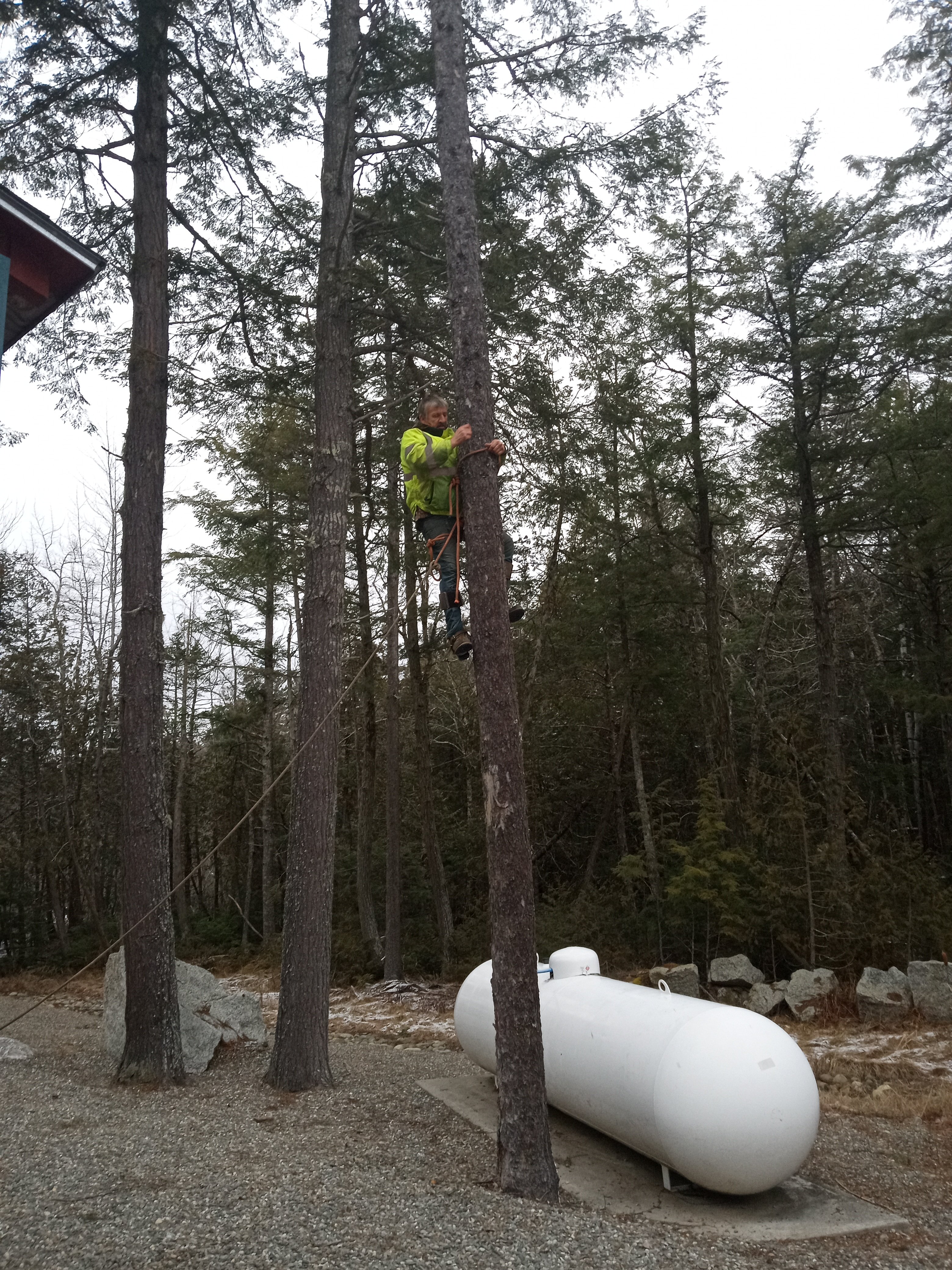 Avatar for Frenchman Bay tree service