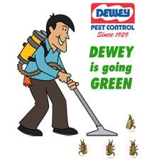 Avatar for DEWEY PEST CONTROL