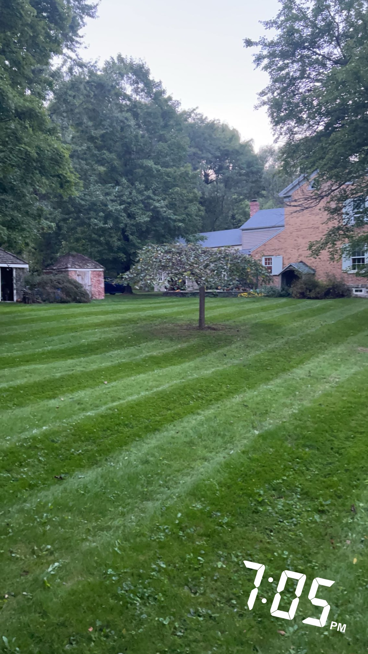 Avatar for De Visser Lawn&Landscaping 