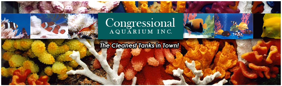 Logo for CONGRESSIONAL AQUARIUM INC