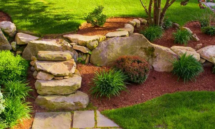 Avatar for jelilov chain