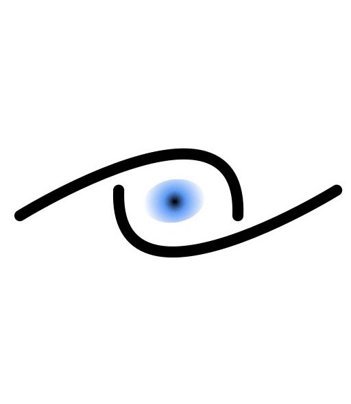 Surveillance Specialist Group, LLC logo