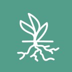 Avatar for Deeper Roots