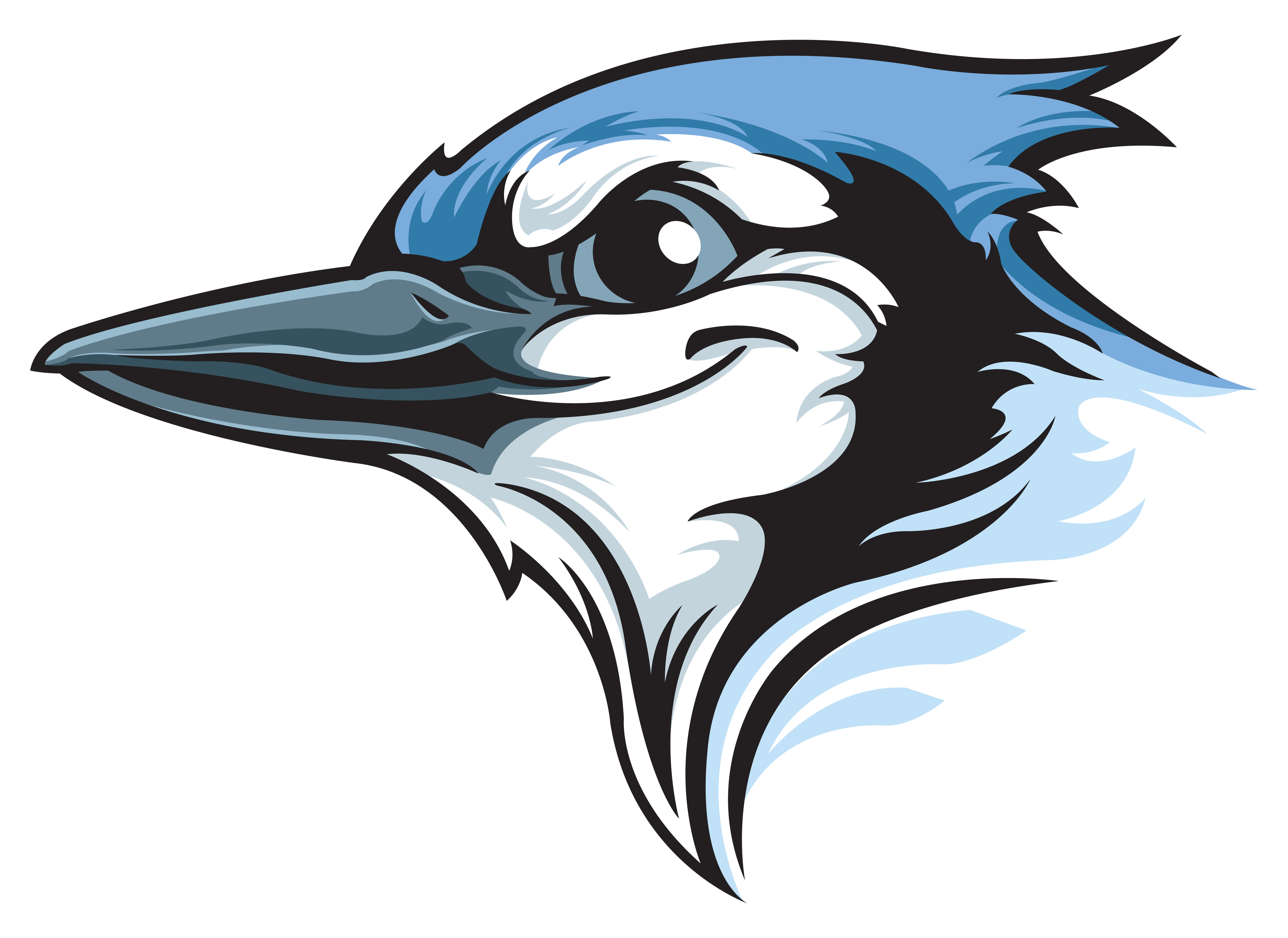 Avatar for Jaybird Handyman and Construction