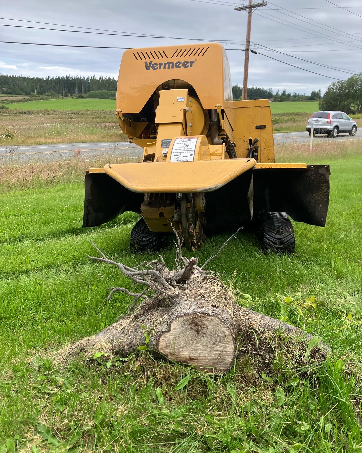 Avatar for Stanford Stump Grinding