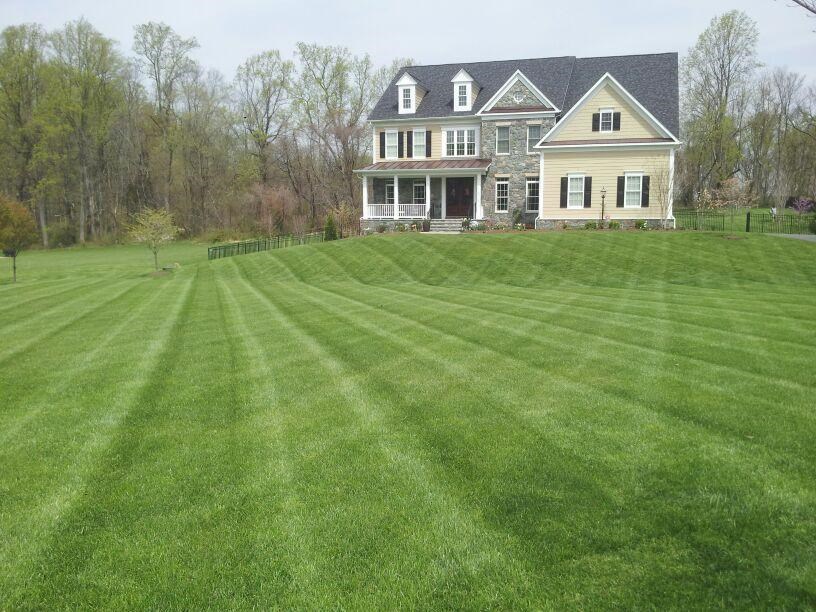 Residential Lawn Mowing 