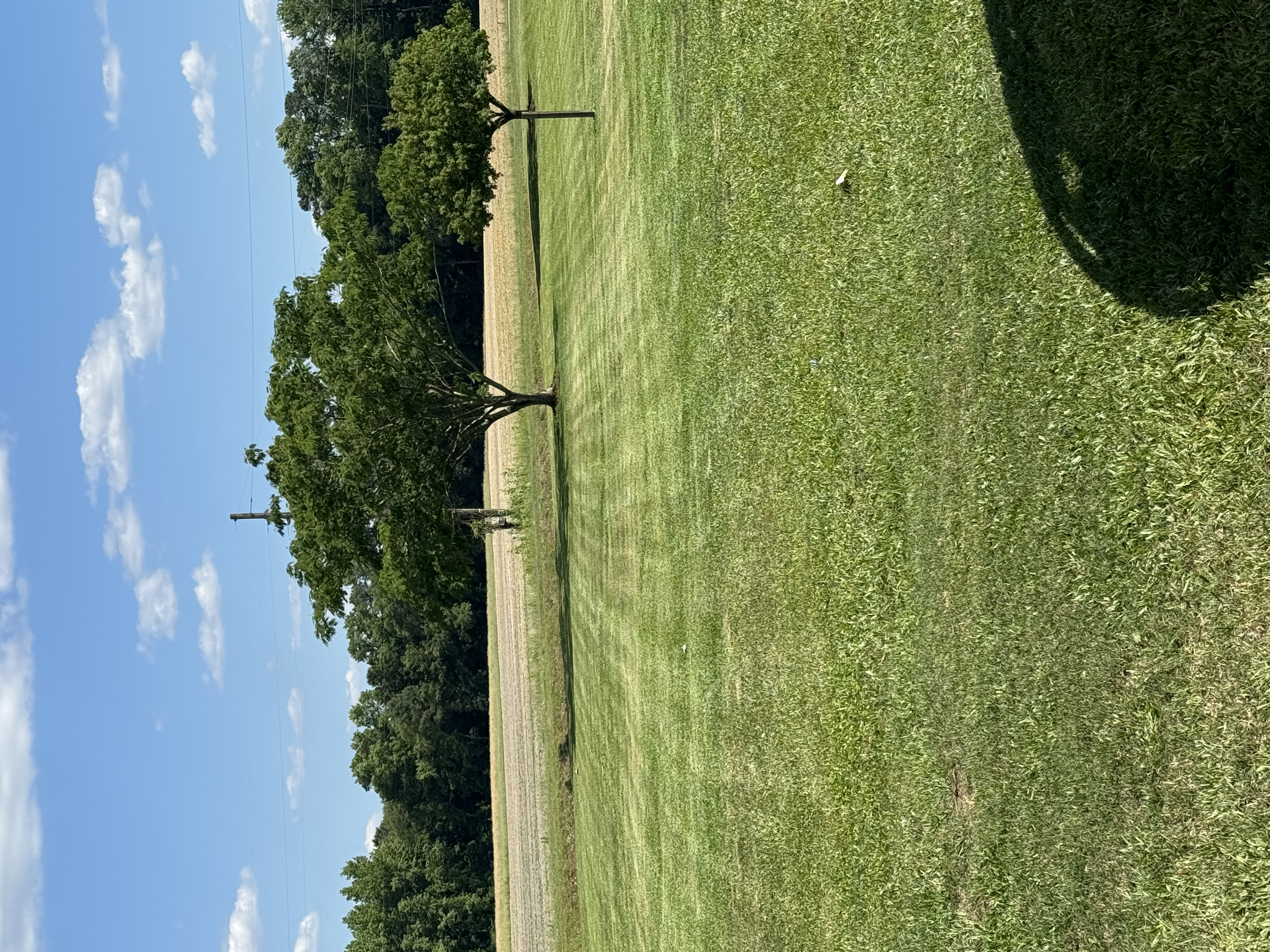 Avatar for Downeast Landscapes 