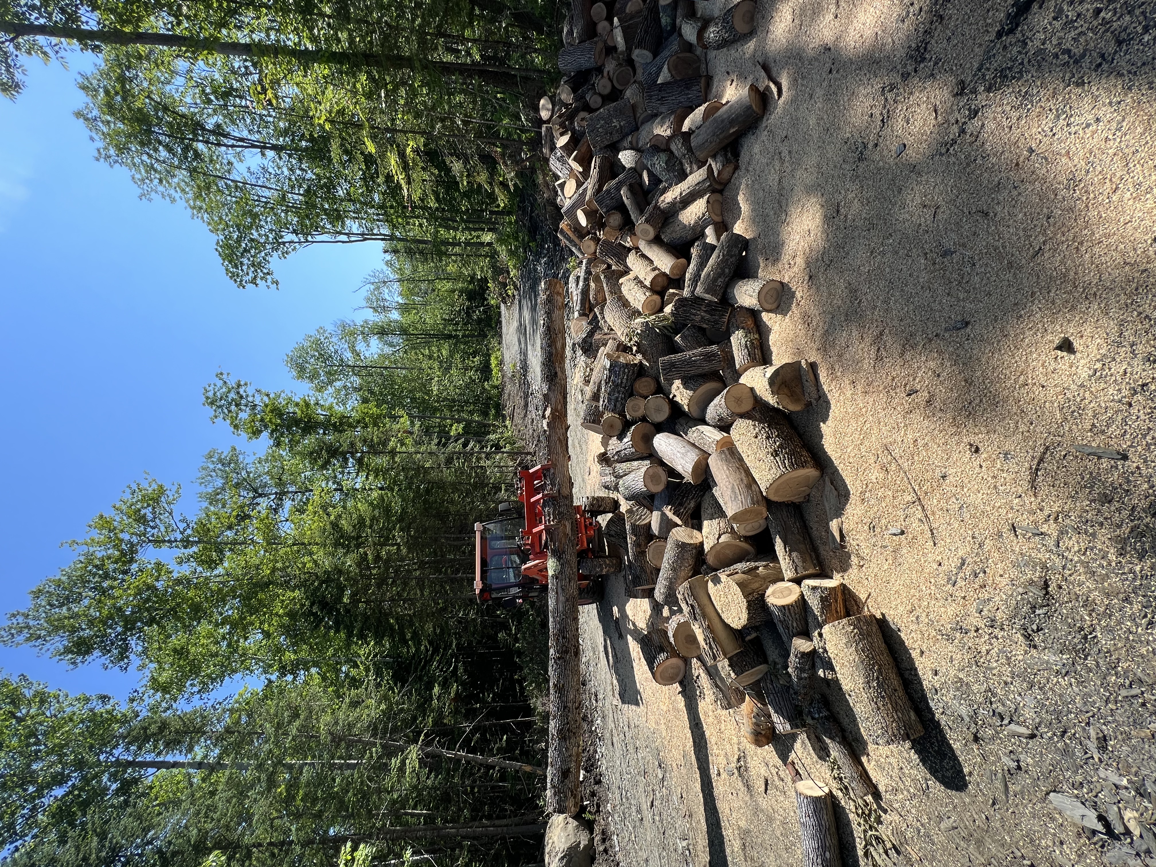 Avatar for ALE Property Service LLC