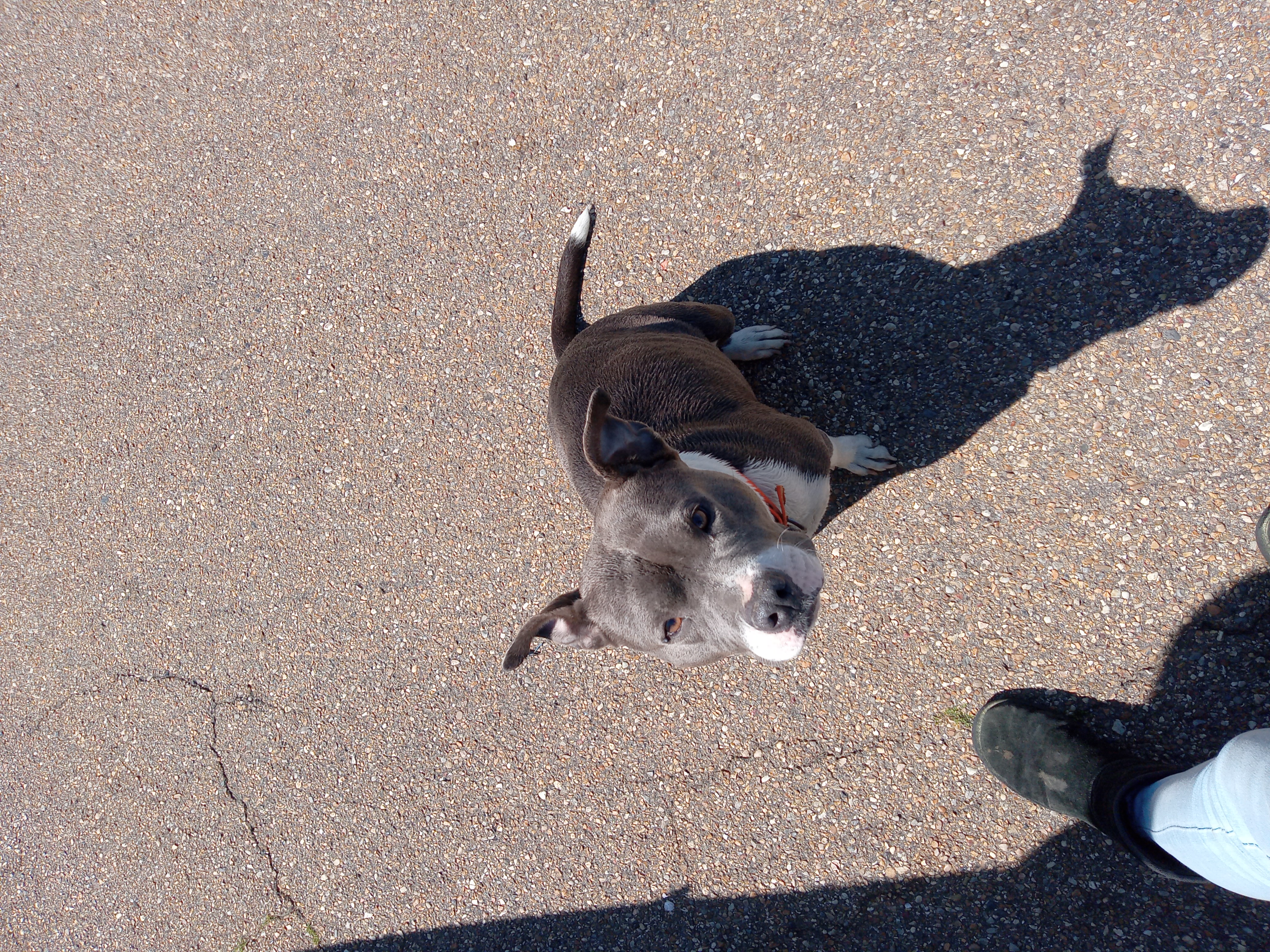 Avatar for Allen Sanders mowing