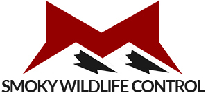 Avatar for Smoky Wildlife Control