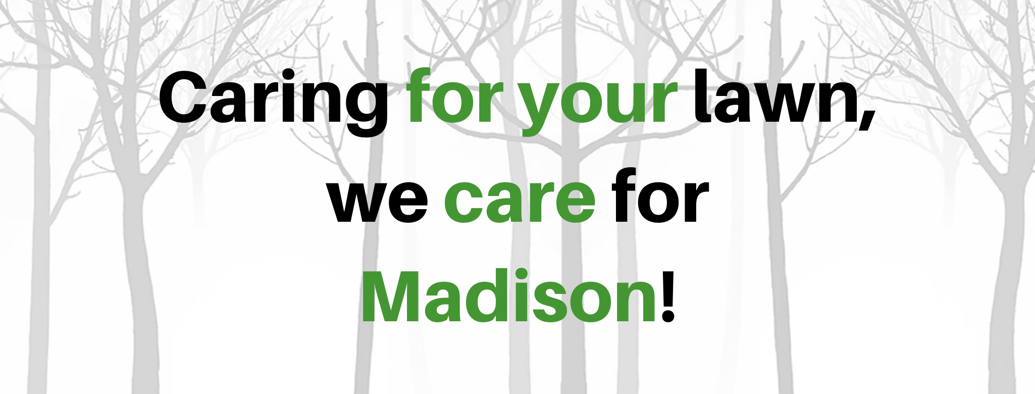 Avatar for 608 lawn care