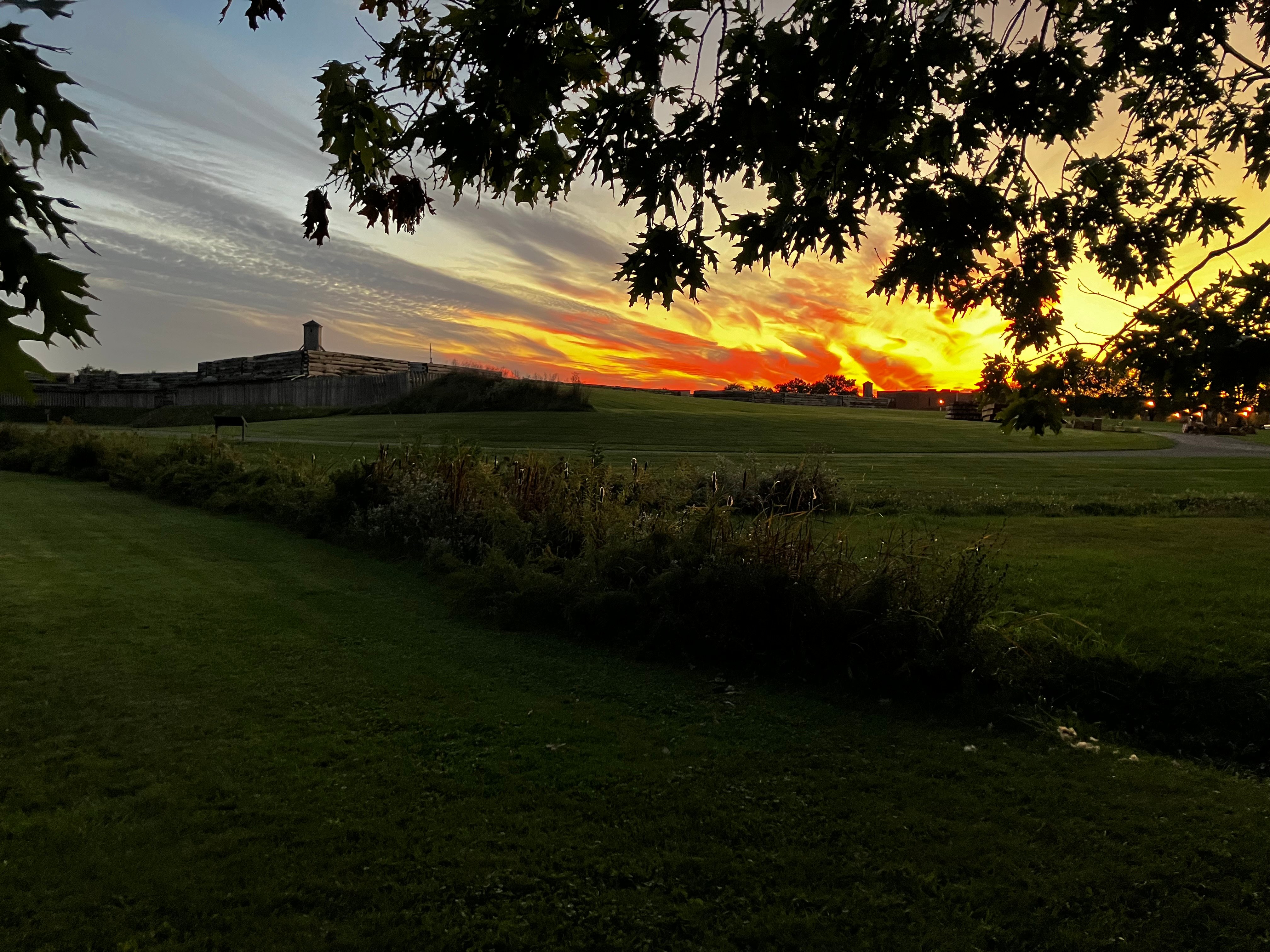 Avatar for Mike’s Property Maintenance 