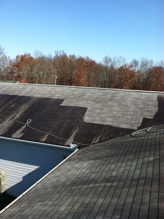 Roof Cleaning