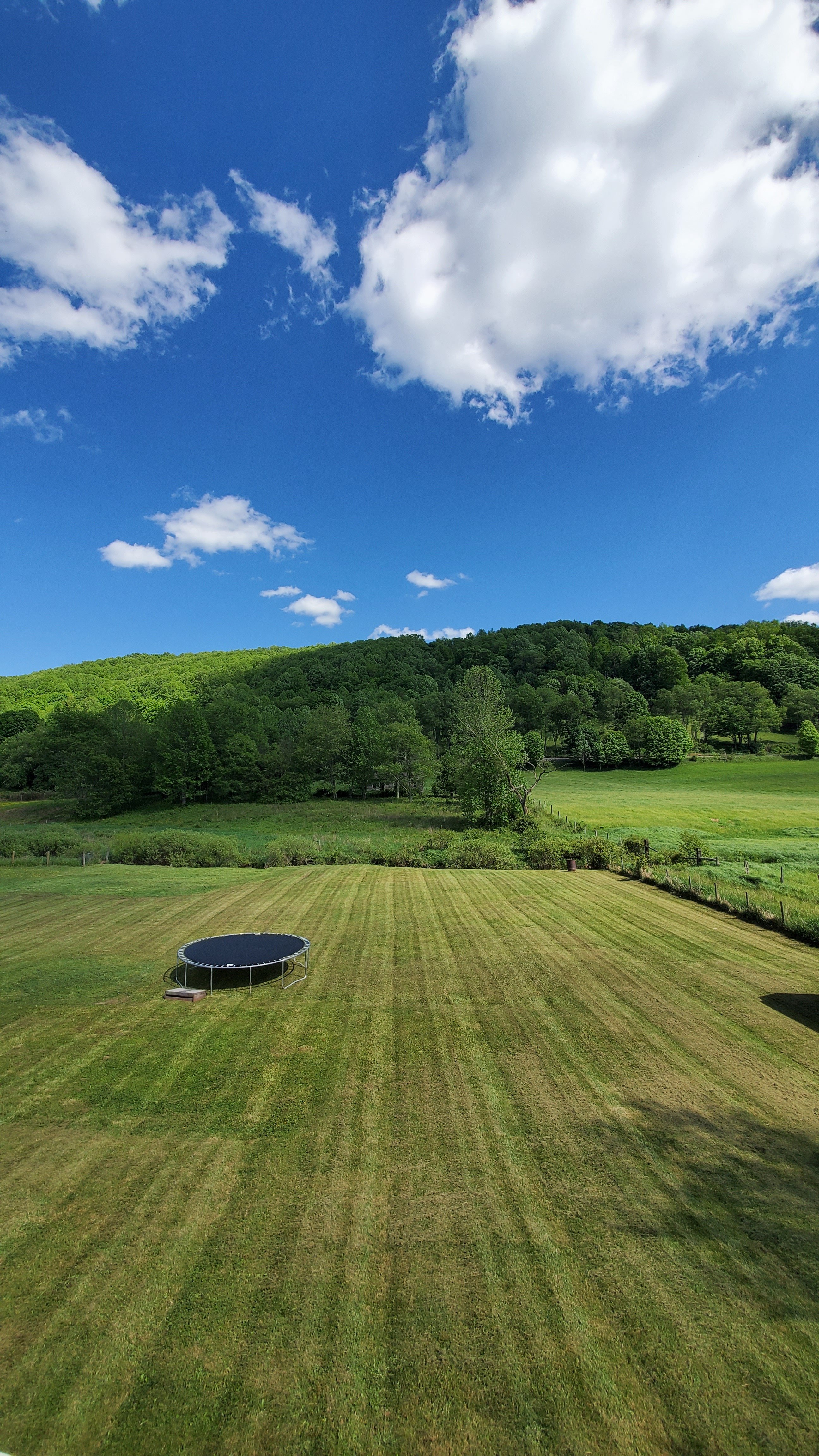 Avatar for GrassMasters