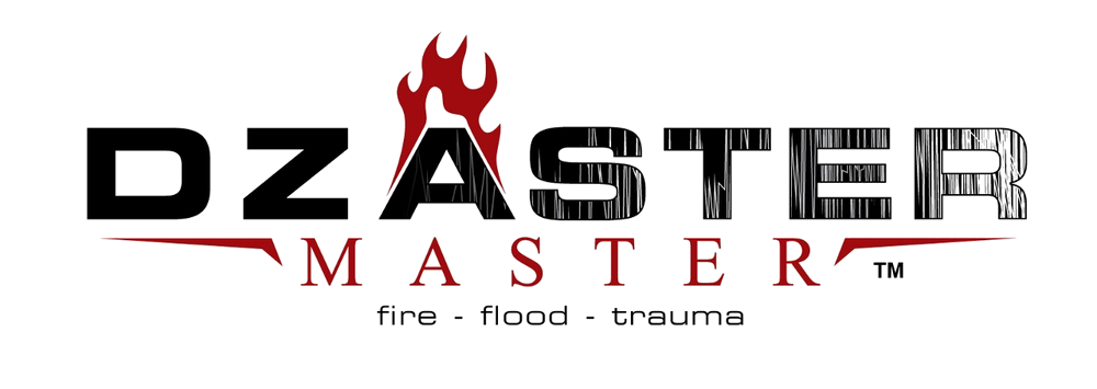 Avatar for Dzaster Master