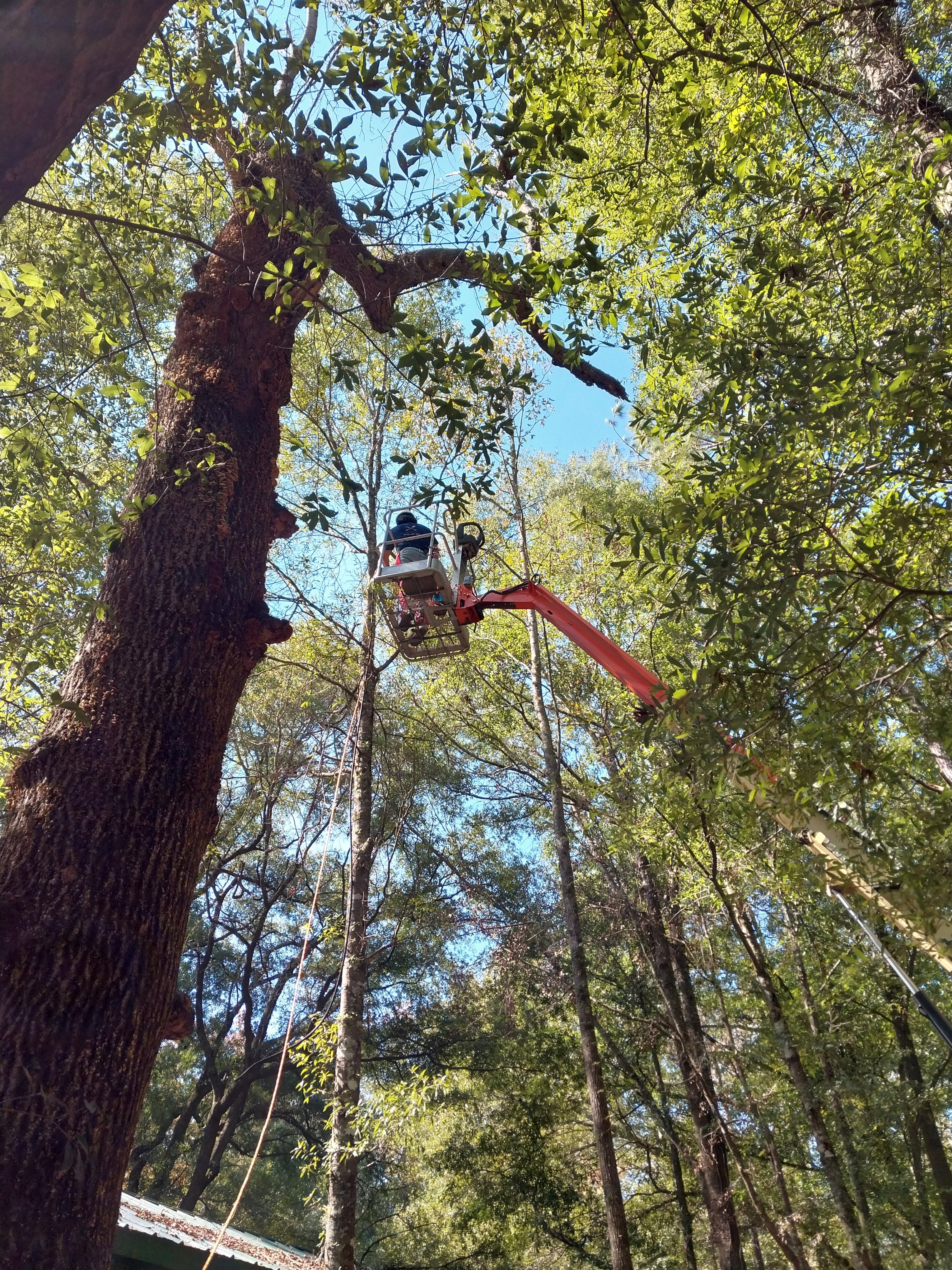 Avatar for Christian laurie