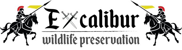 Avatar for Excalibur Wildlife Preservation