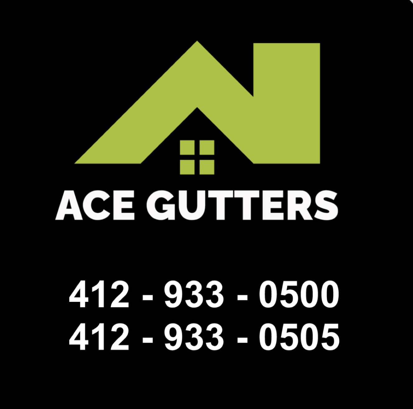 Avatar for Ace Gutters 